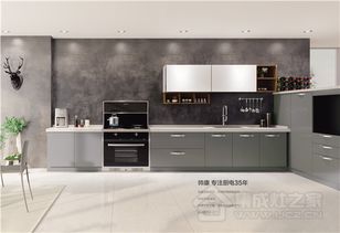 劍指集成灶市場 帥康快吸集成灶開啟行業(yè)新格局